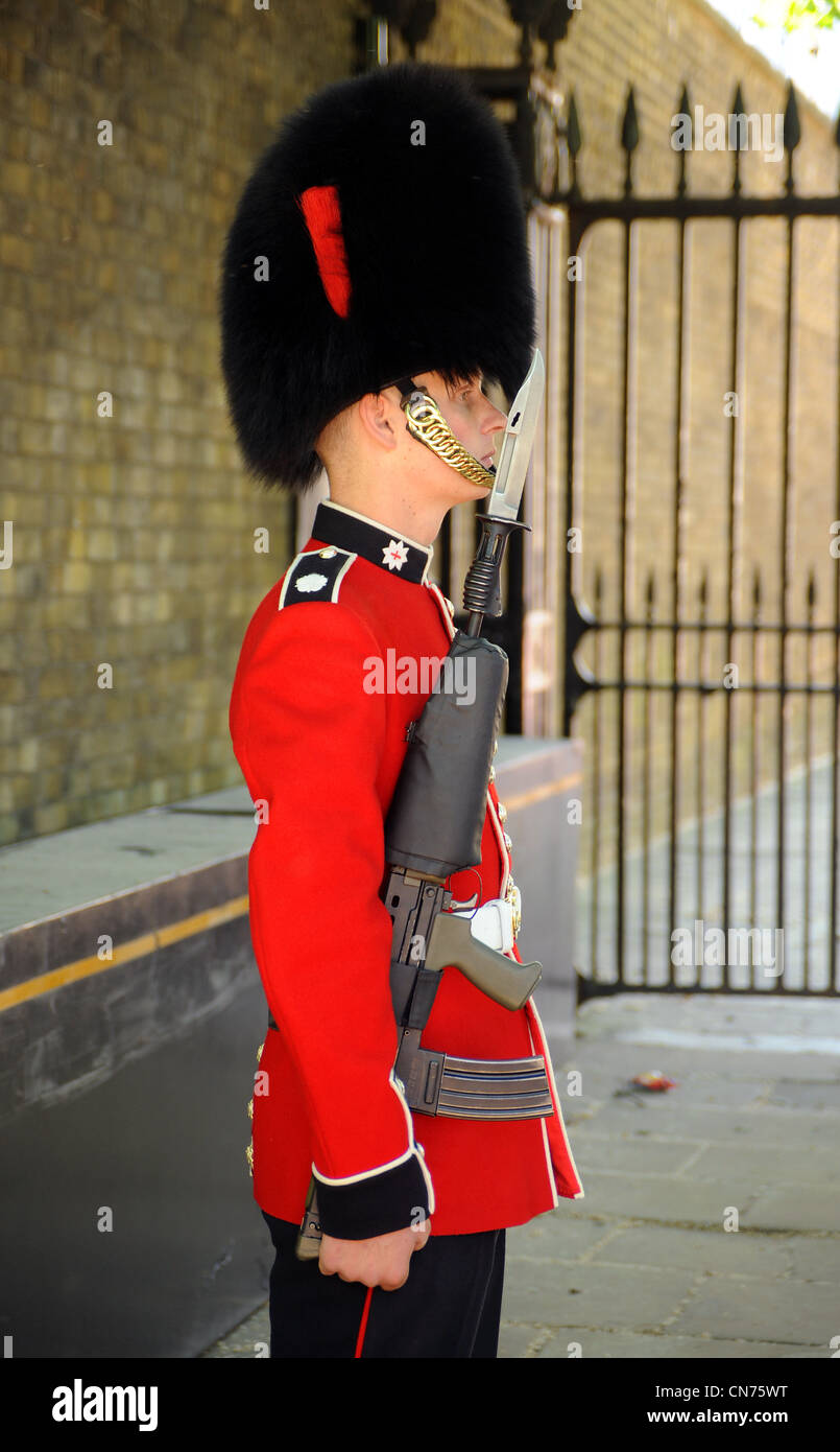 A Coldstream Guard on Royal Guard duties in central London. Smart soldier in scarlet tunic with rifle and bayonet Stock Photo