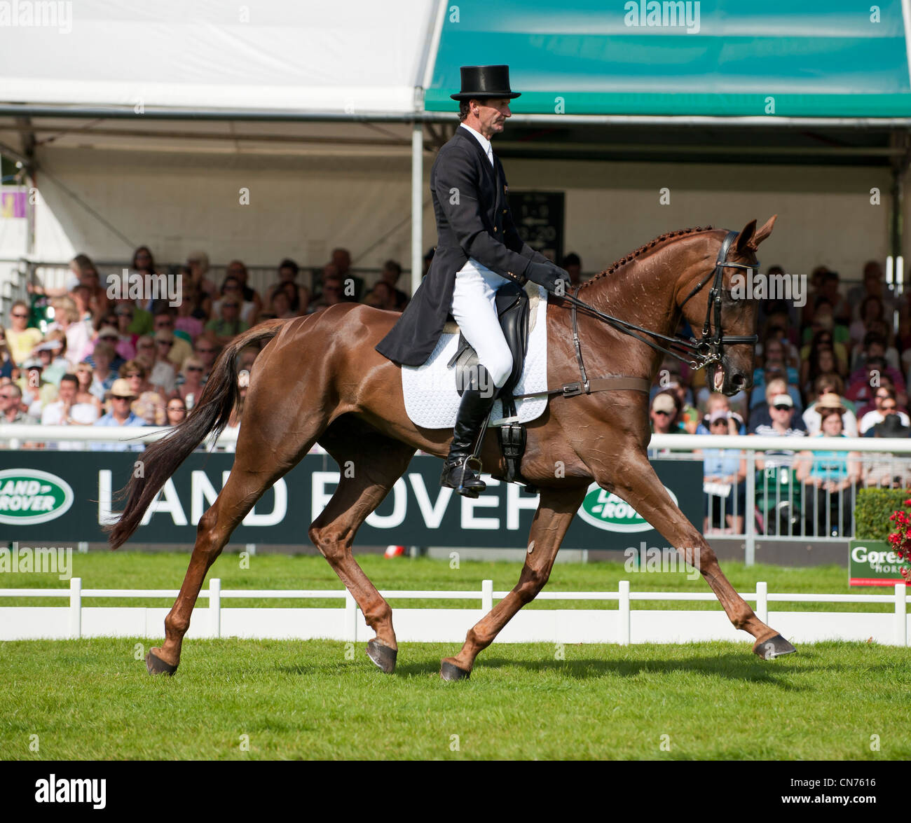 Mark Todd and Major Milestone - Dressage Phase - Land Rover Burghley Horse Trials 2010 Stock Photo