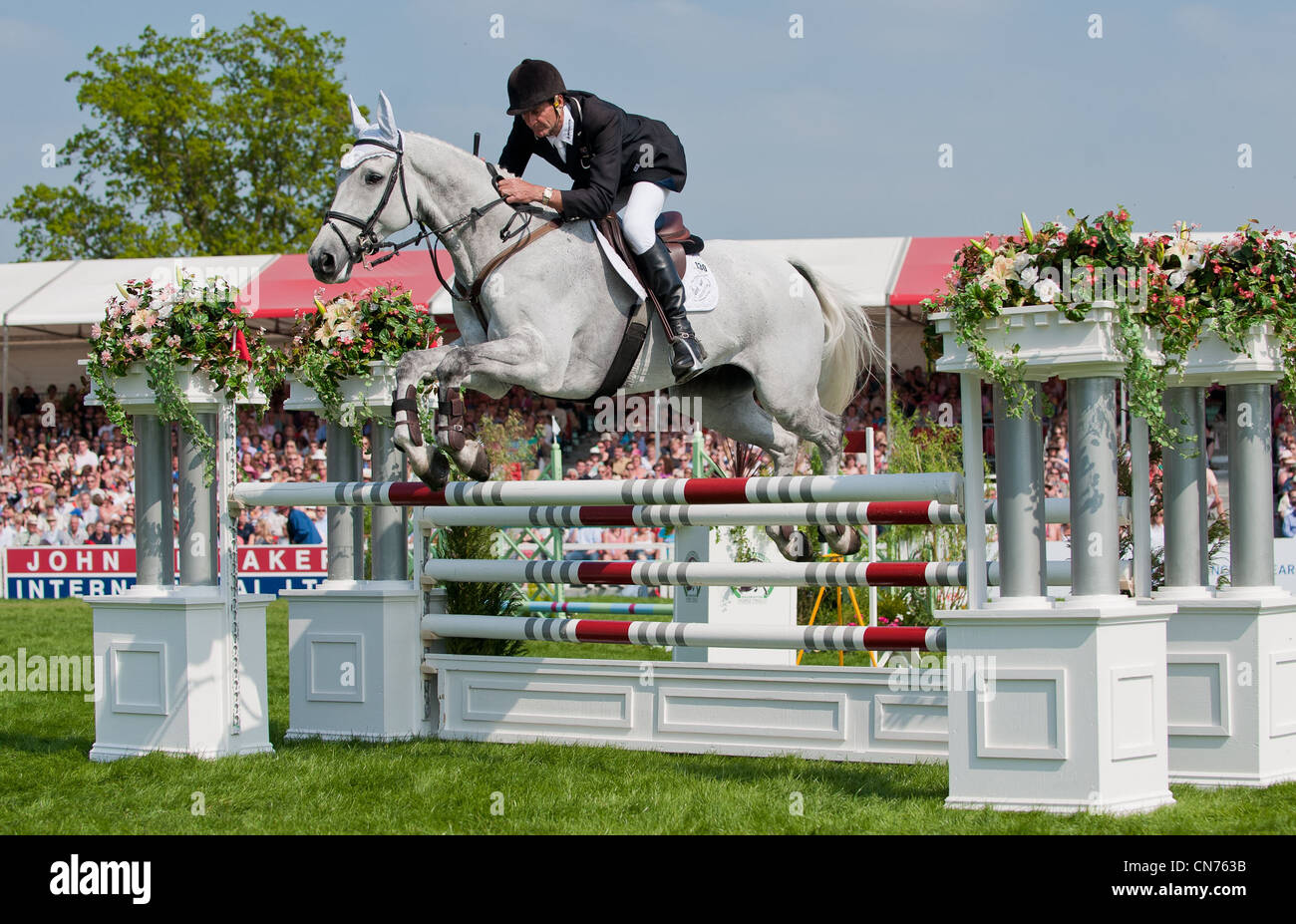 Mark todd top vision boots