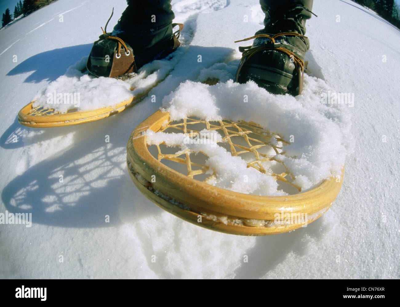 Snowshoes Stock Photo