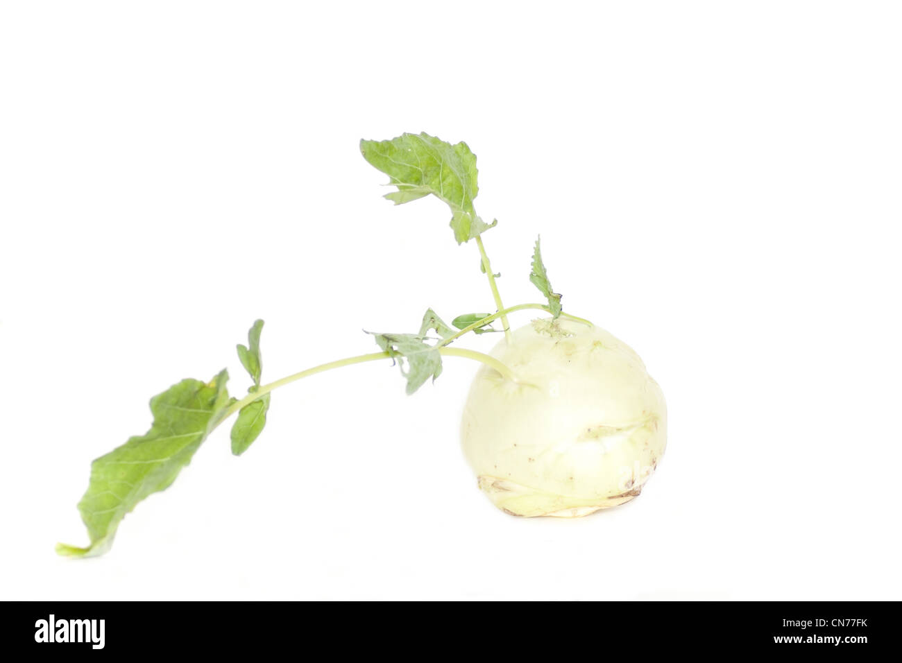Cabbage kohlrabi Stock Photo
