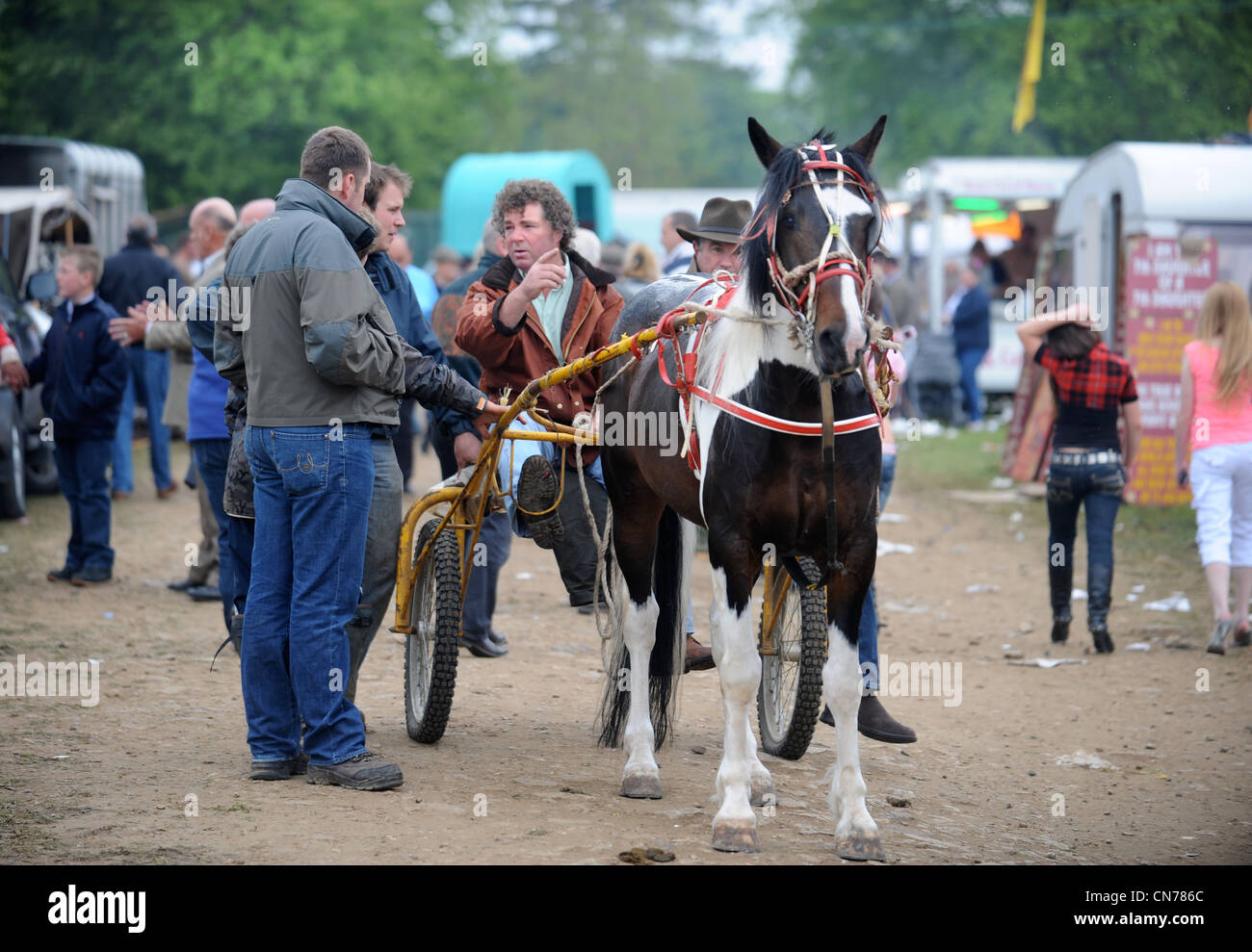 A horse and cart at the StowontheWold horse fair May 2009 UK Stock