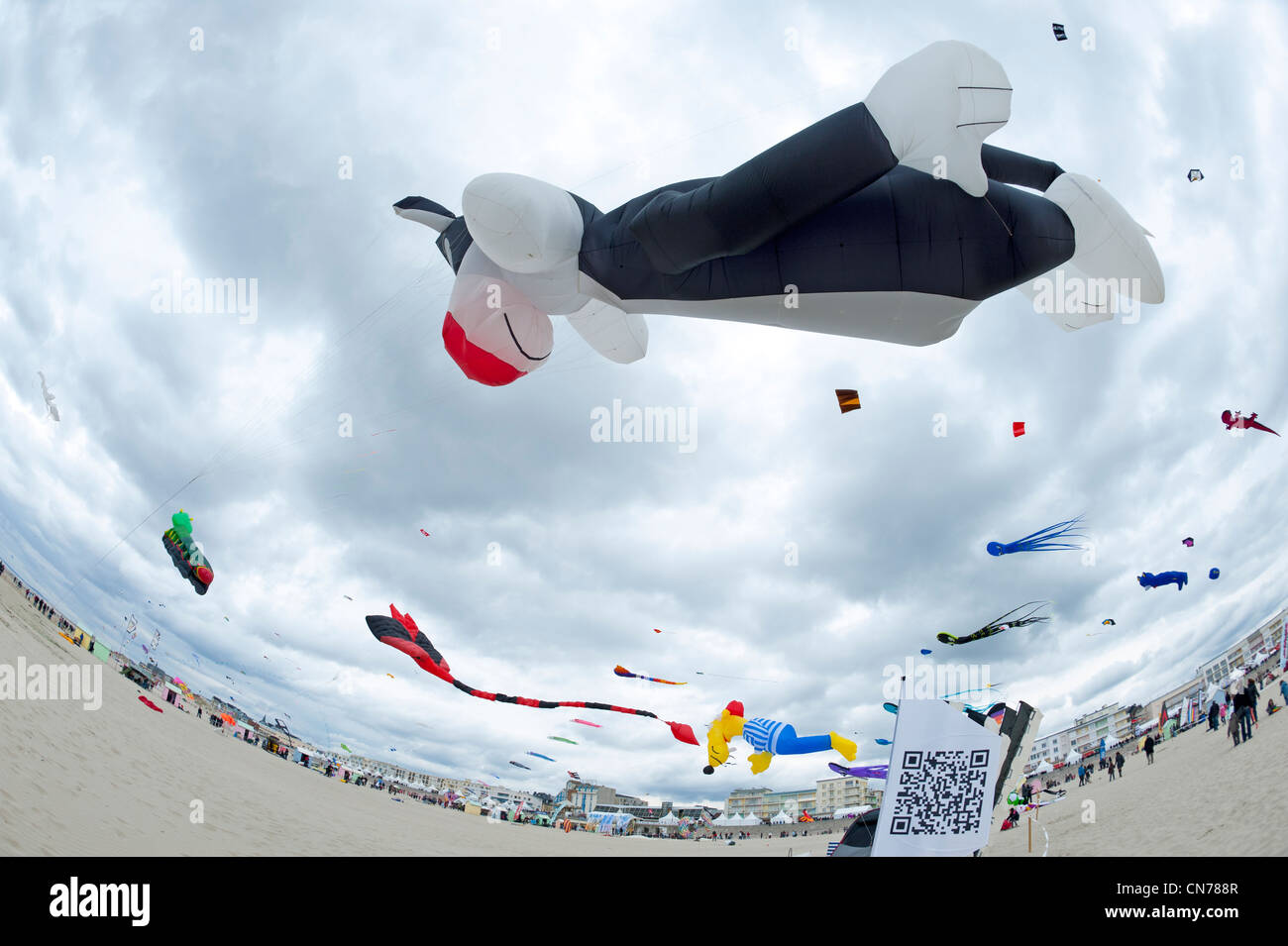 Berck sur Mer, International Kite Festival, Cerfs Volants Stock Photo