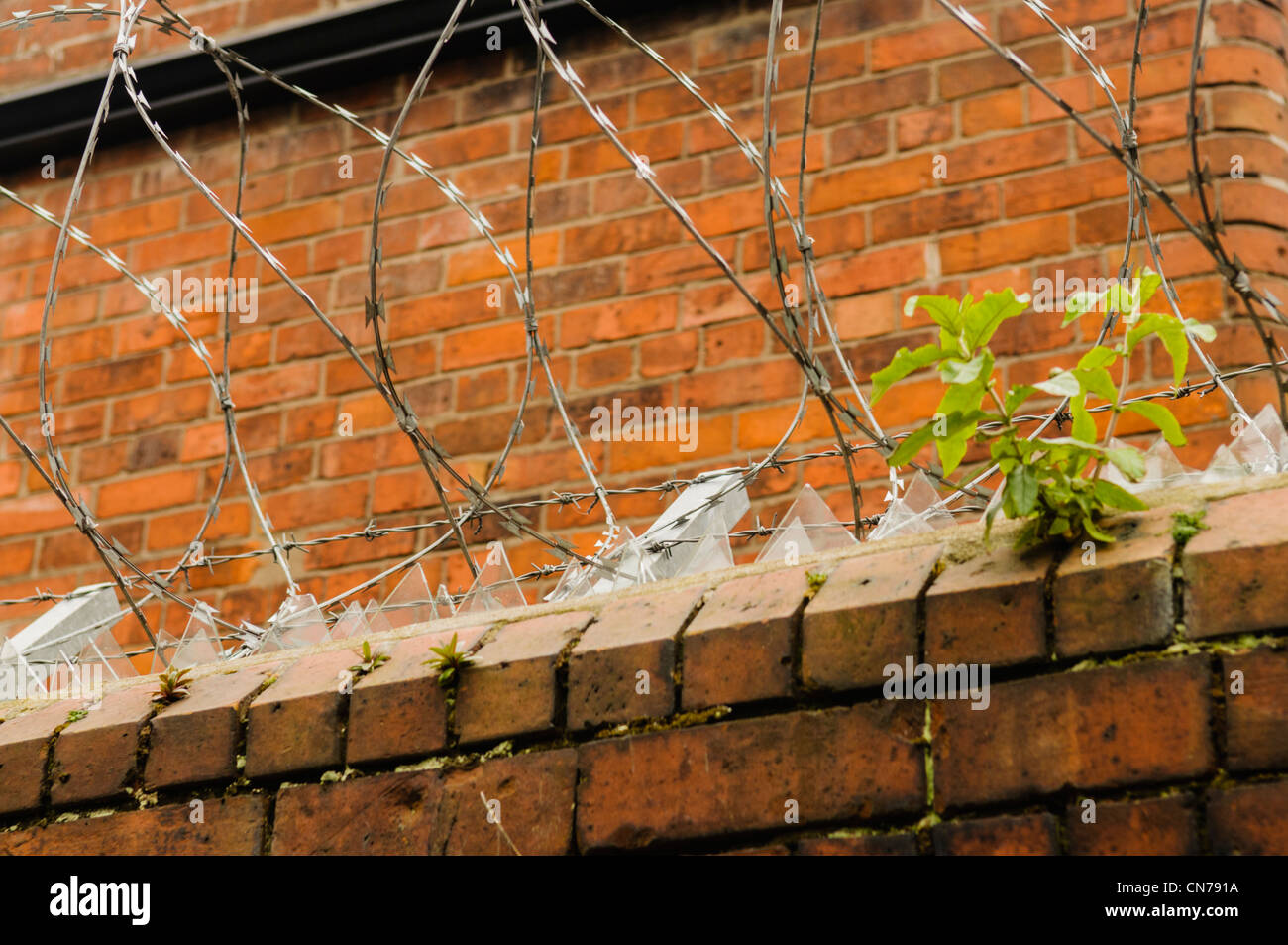 Broken glass on wall hires stock photography and images Alamy