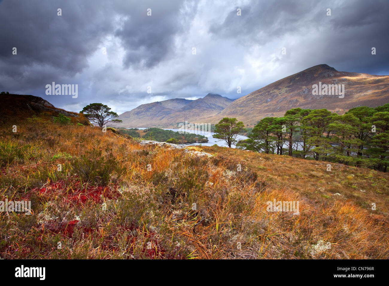 Caledonian mountains europe hires stock photography and images Alamy