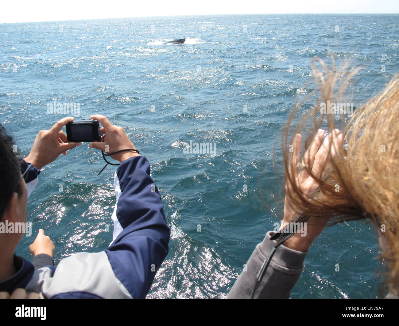Whale watching boat people splash hi-res stock photography and images ...