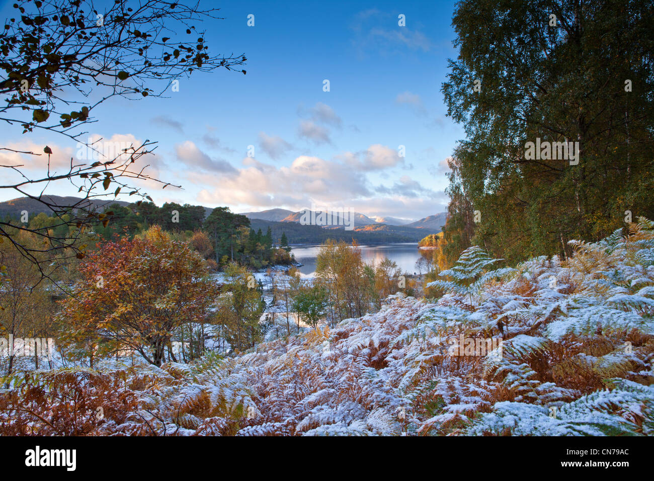 Autumn in Glen Affric Stock Photo