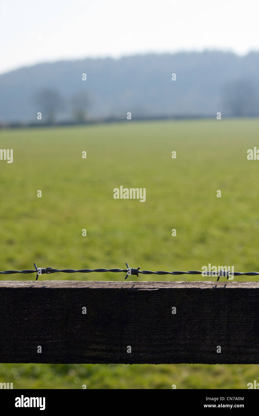 Portrait. Barbed wire detail with wood fence. Countryside scene in ...