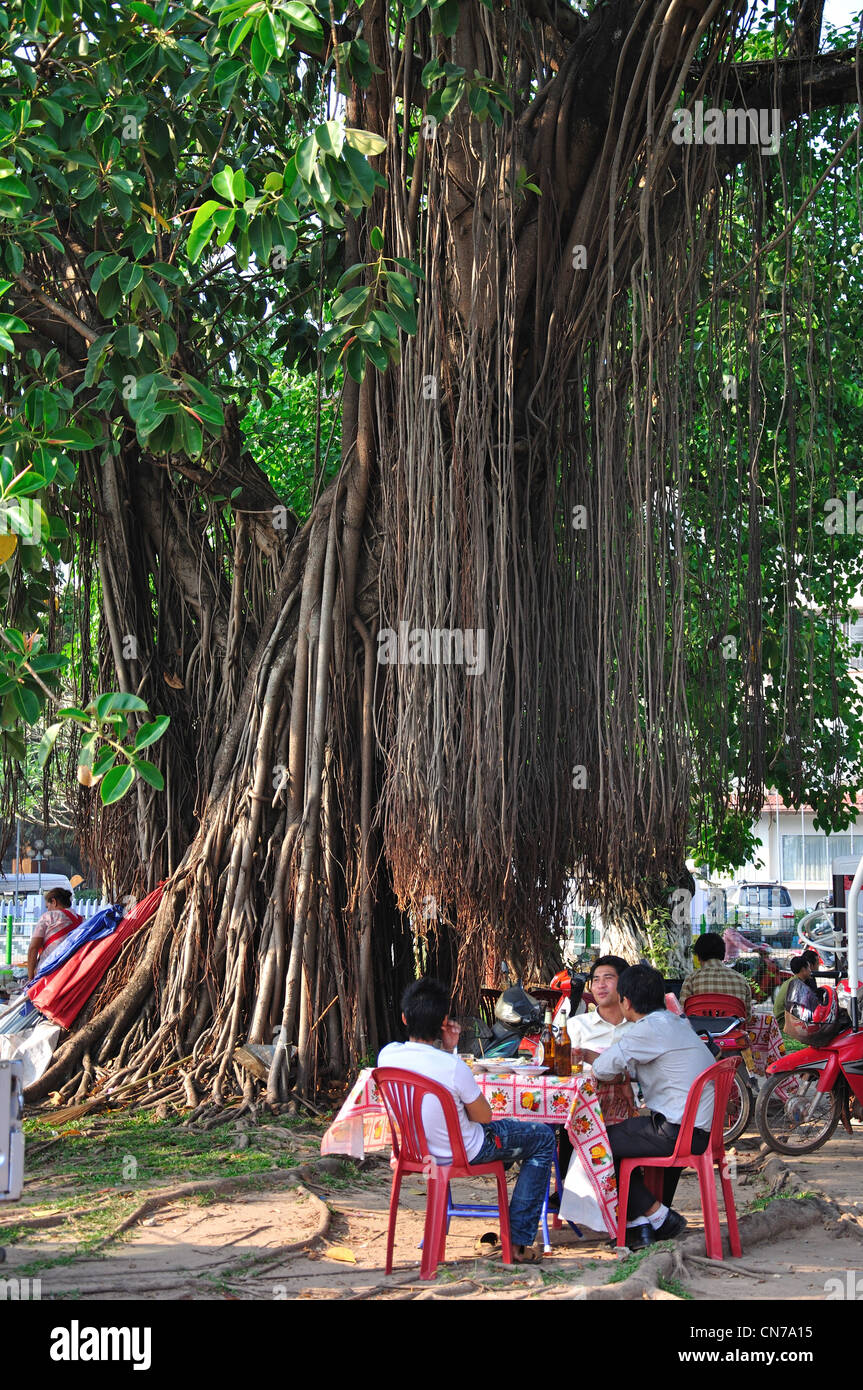 Restaurant tables under Banyan tree on Mekong Riverfront, Vientiane, Vientiane Prefecture, Laos Stock Photo