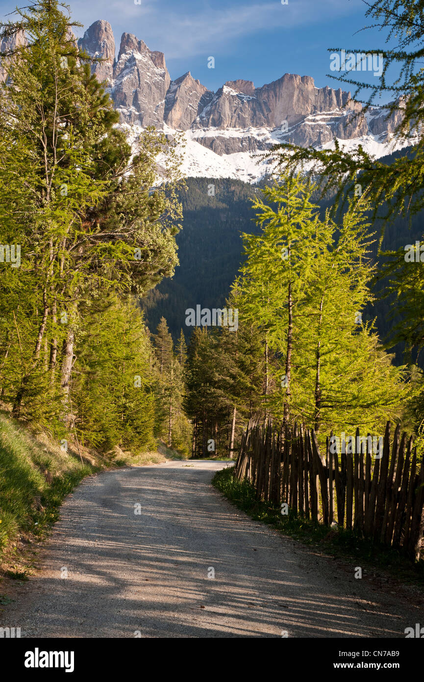 Road winding through mountains in the Italian Alps Stock Photo - Alamy