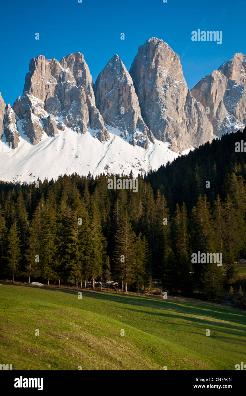 Scenic view of rugged mountains and a meadow in the Italian Alps Stock ...
