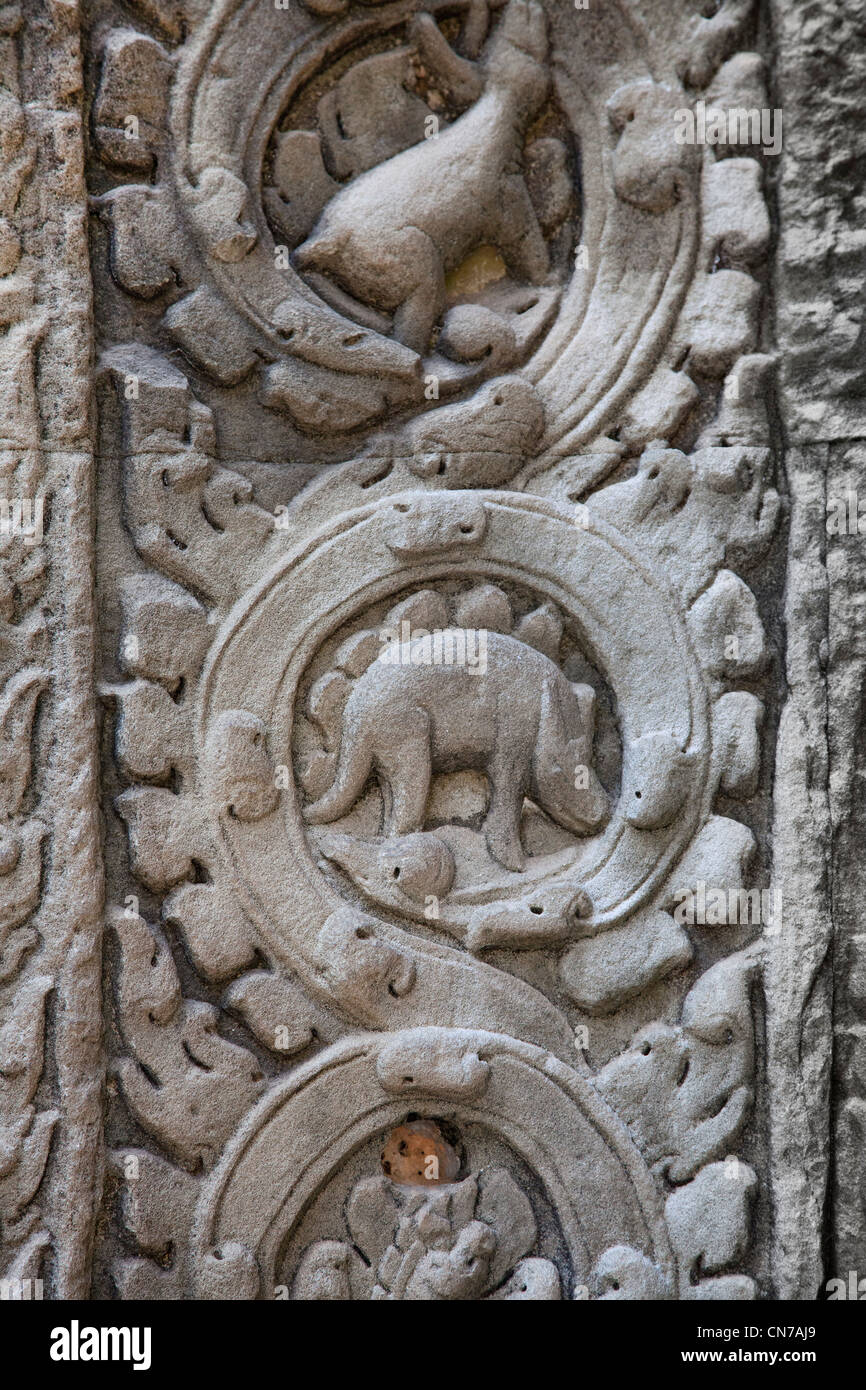 Angkor wat, Cambodia, base relief stone carving showing a stegosaurus dinosaur Stock Photo