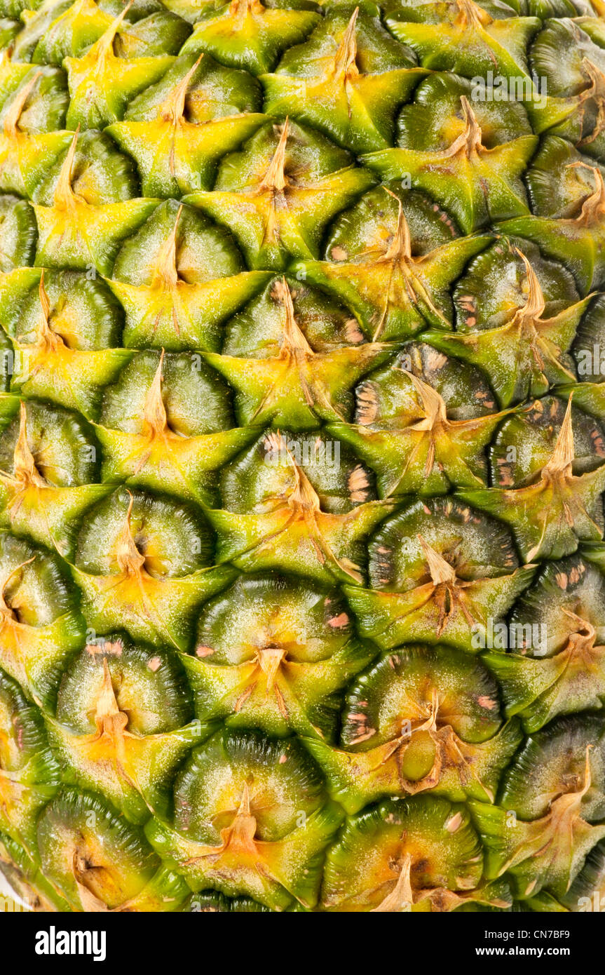 close up of pineapple skin Stock Photo Alamy