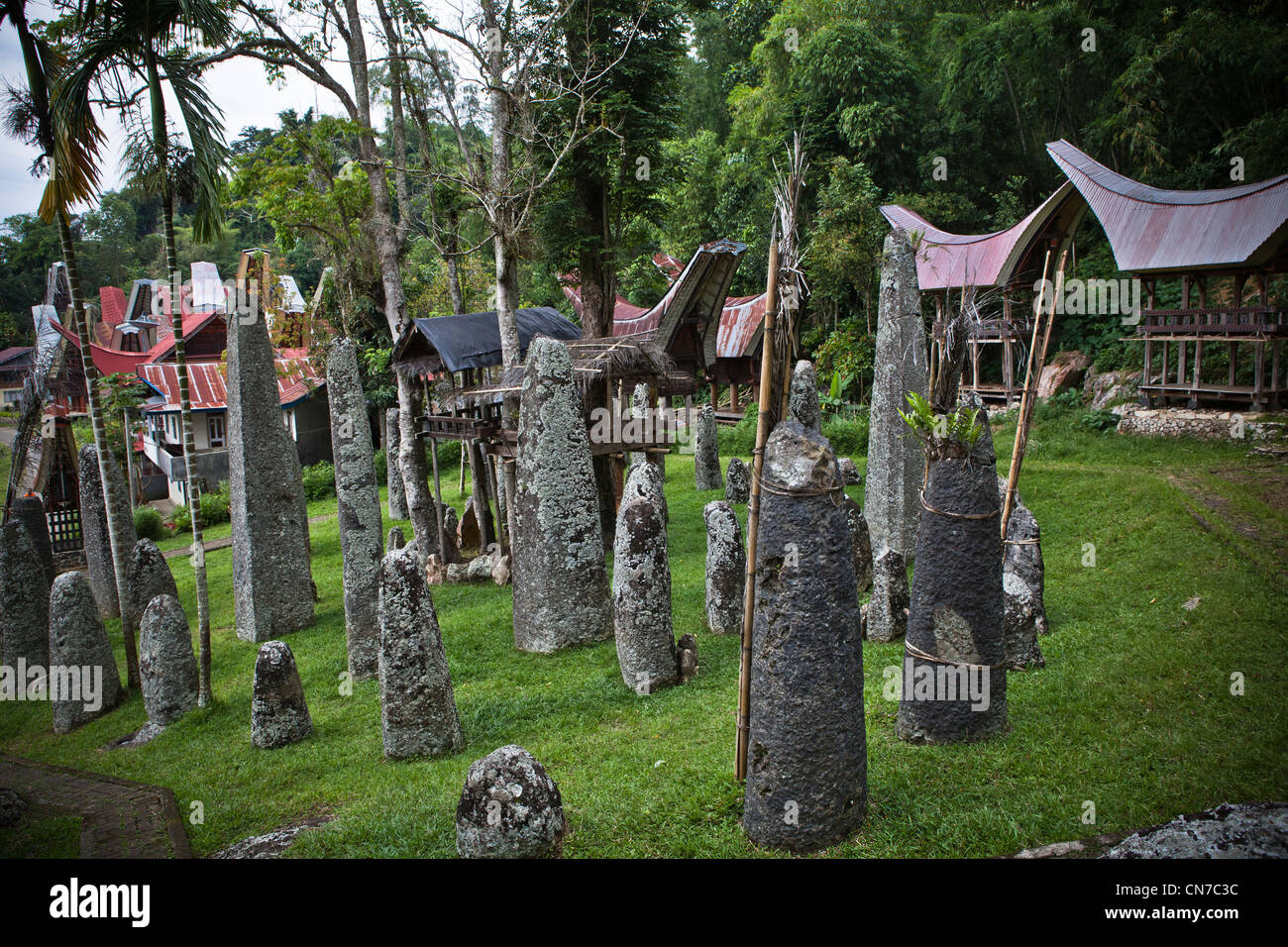 Indonesia, Sulawesi, Tana Toraja area, Bori village, stone megalith ...