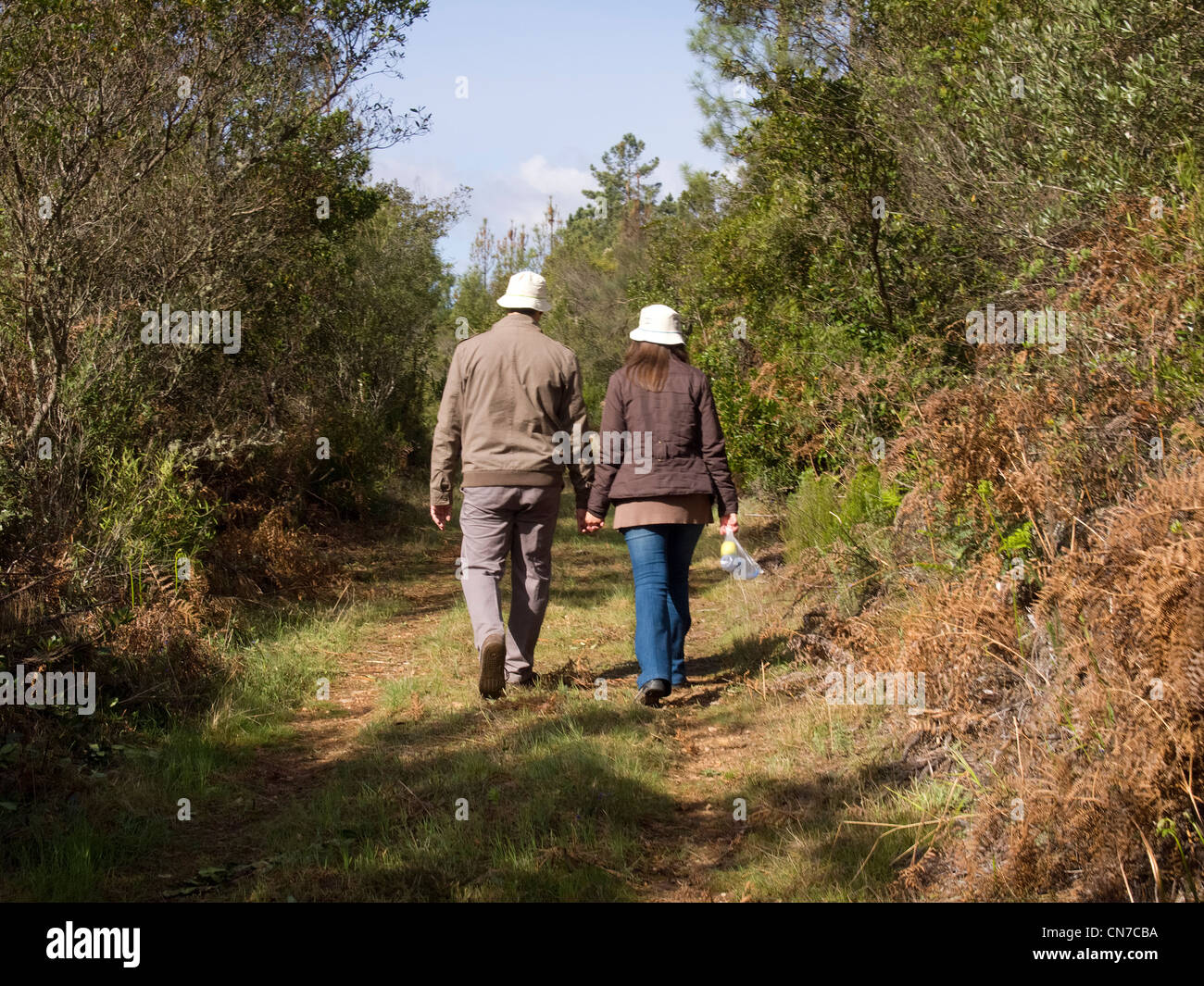 Rear view of couple walking hand in hand in the countryside Stock Photo