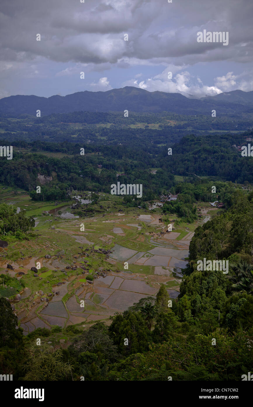 Panorama of terrace fields and villages, Java, Bali, South Pacific ...
