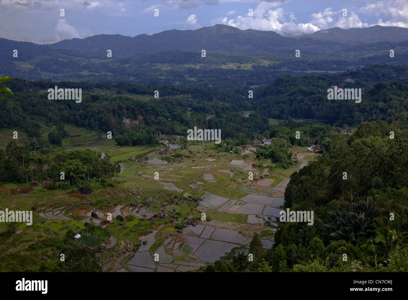 Panorama of terrace fields and villages, Java, Bali, South Pacific ...