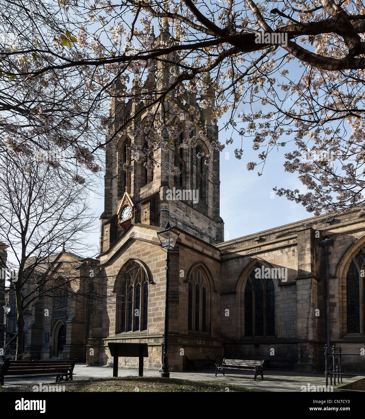 The Cathedral Church of St Nicholas Newcastle upon Tyne with cherry blossom in the foreground. Stock Photo