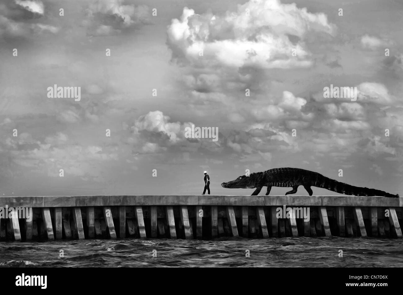 Giant alligator following man on pier Stock Photo