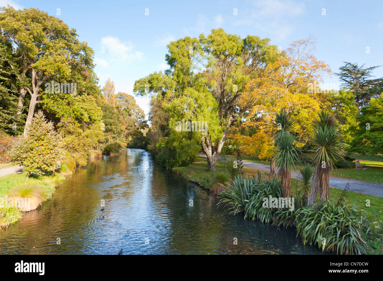 The Avon River as it passes through Hagley Park, Christchurch, New Zealand, in early autumn. Stock Photo