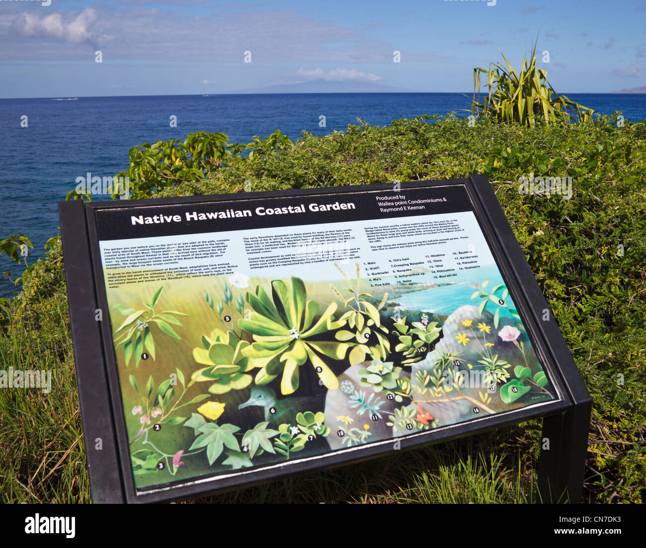 Interpretive sign about Native Hawaiian Coastal Garden along the Wailea coastal walkway Stock Photo