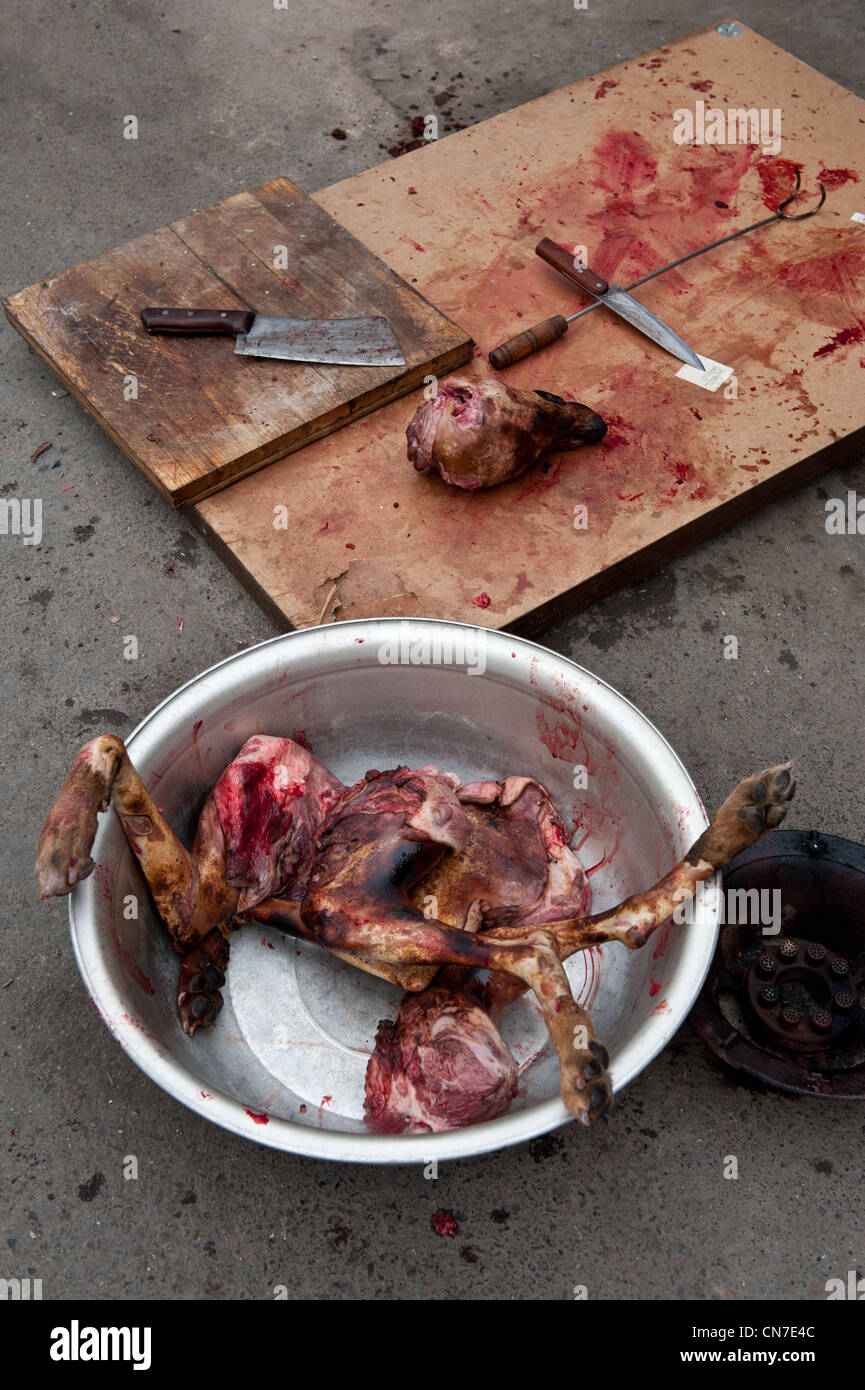 Beijing, Dongcuijia Cun. Dissected dog meat. Stock Photo