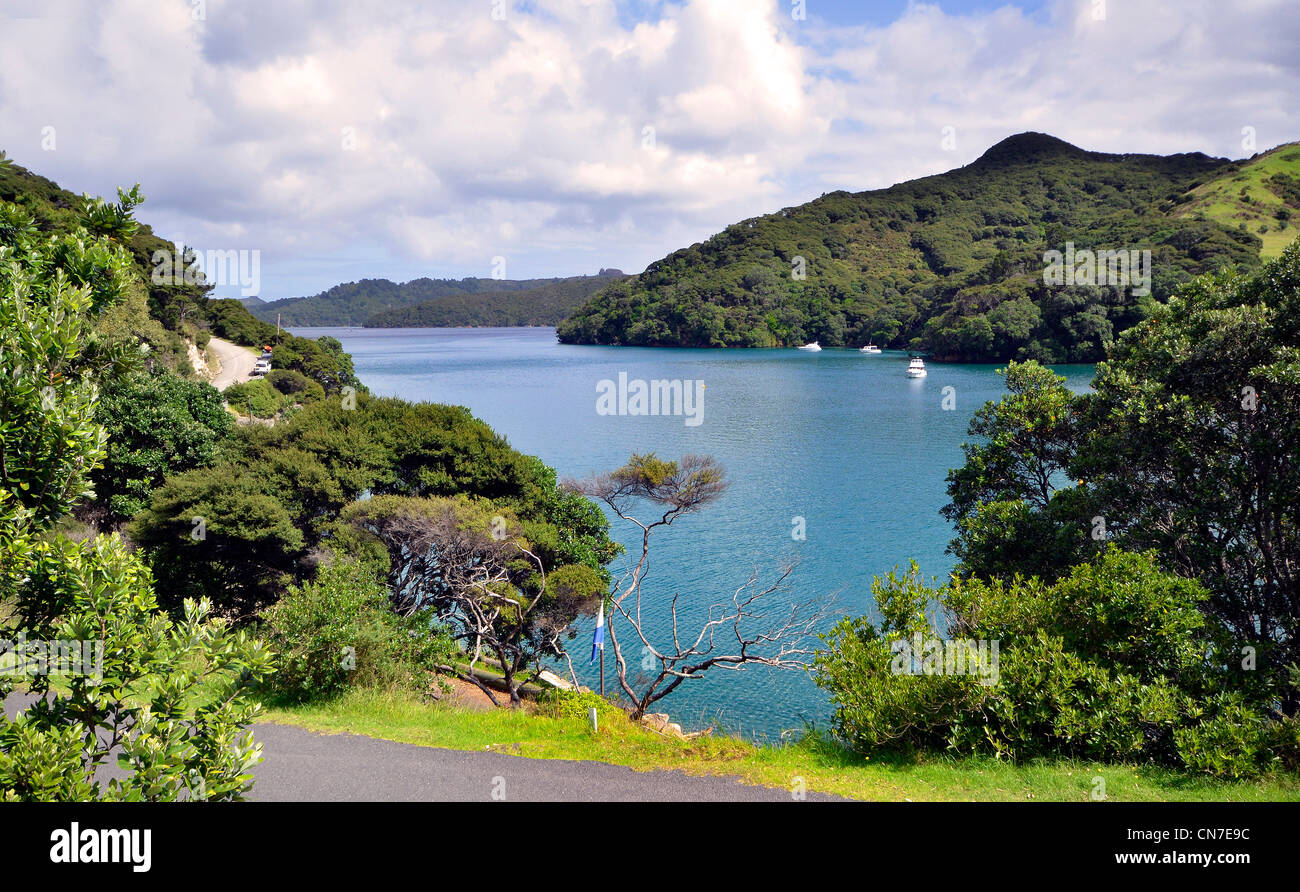 Port Fitzroy Harbour, Great Barrier Island, Hauraki Gulf, New Zealand