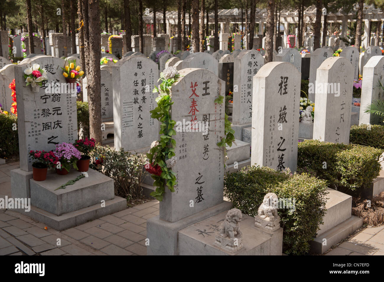 Beijing, Wanan cemetery. Graves with many flowers during the Chinese national holiday "Tomb