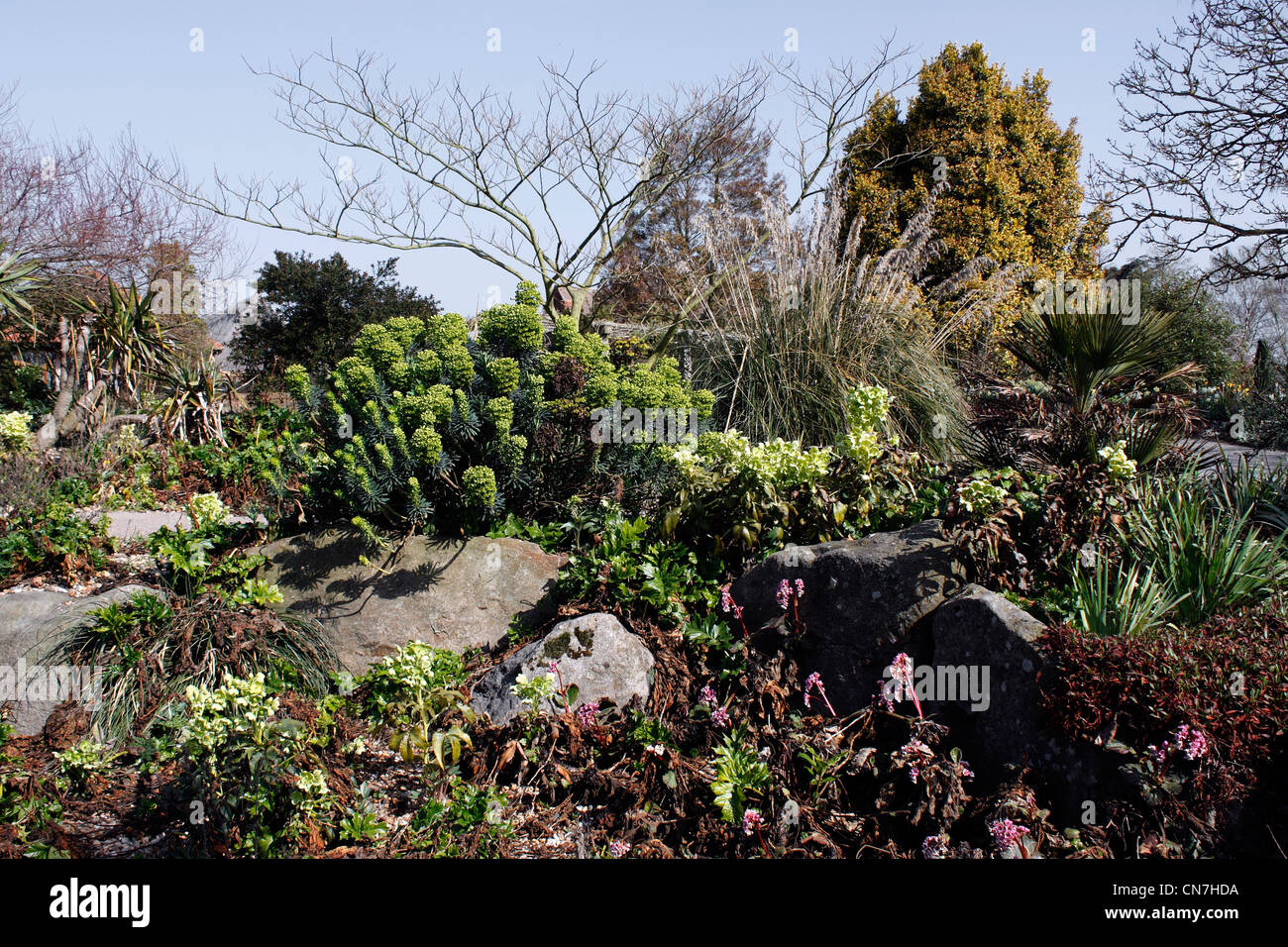 RHS HYDE HALL DRY GARDEN. ESSEX UK. Stock Photo