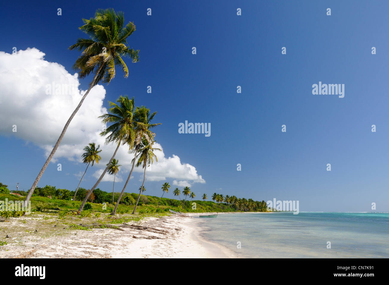 Samana Dominican Republic, Samana peninsula, Del Este National Park, Saona ...