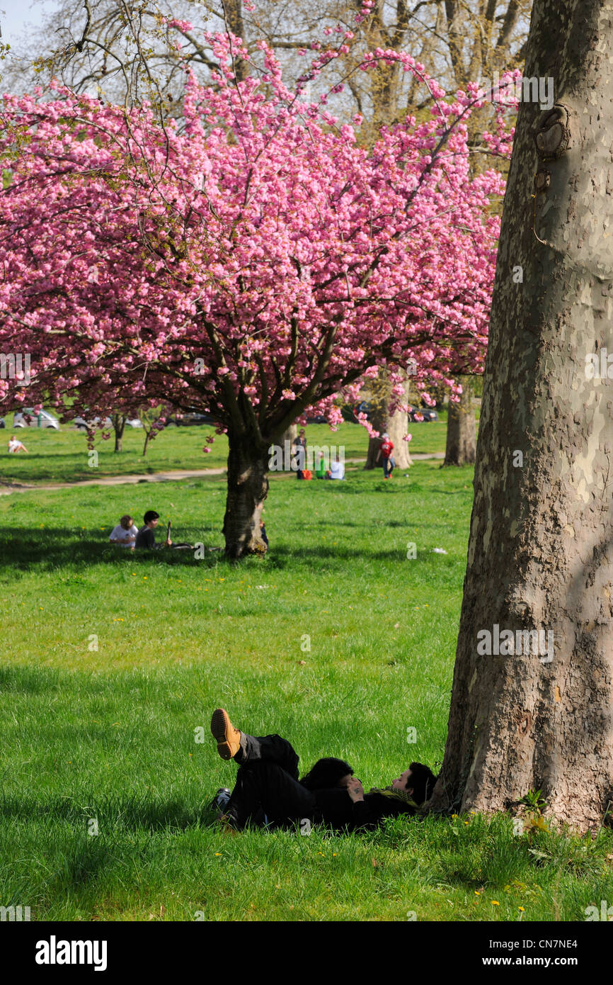 France, Paris, Bois de Boulogne Stock Photo Alamy