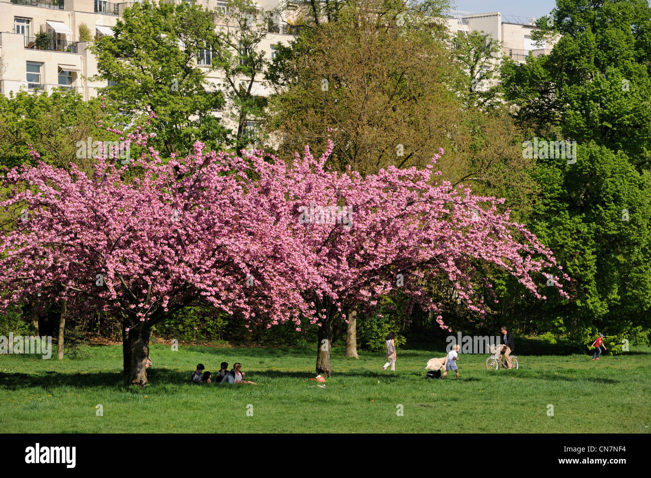 France, Paris, Bois de Boulogne Stock Photo Alamy