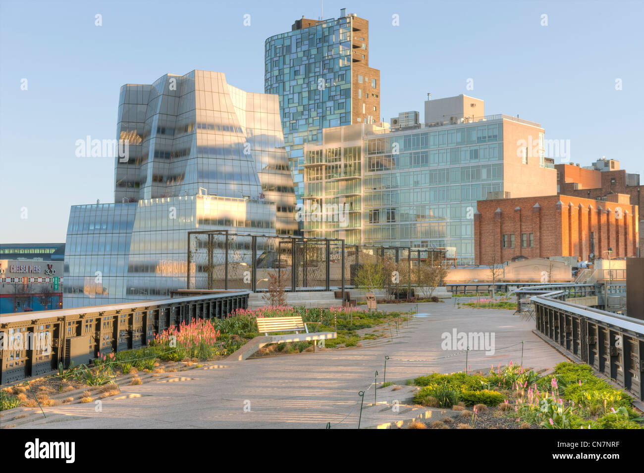 A view of the landscaping in High Line Park with the Frank Gehry designed IAC Building in the background in New York City. Stock Photo