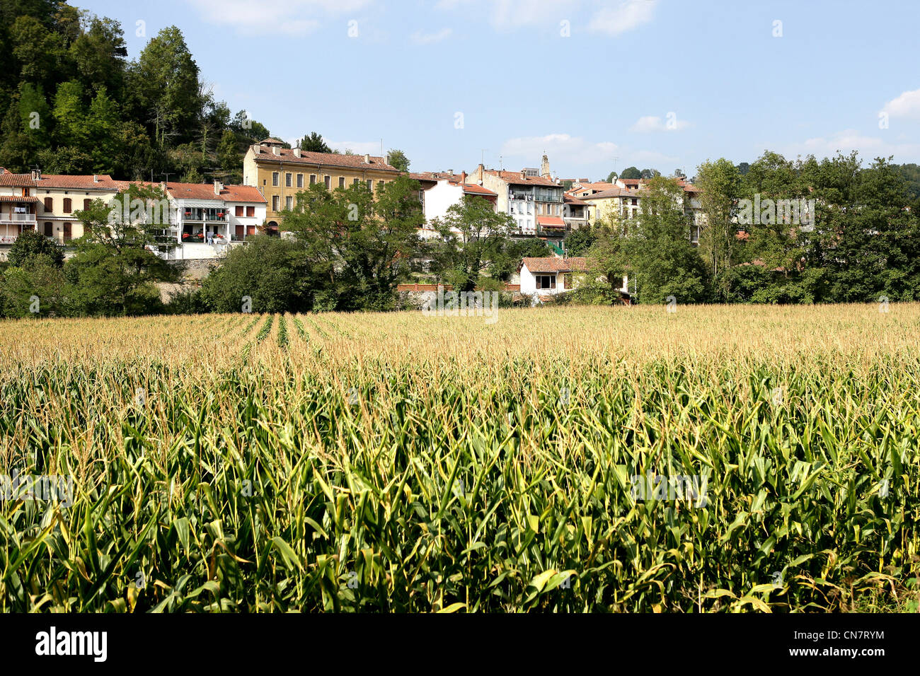 Village surrounded by a crop field Stock Photo