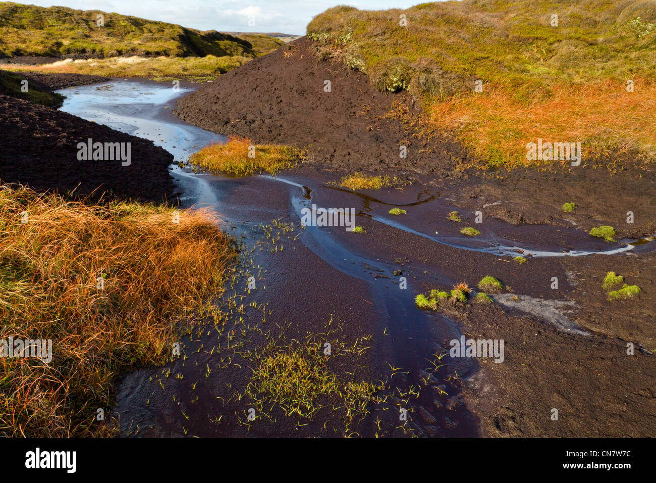 Peat bog moor on Kinder Scout, Peak District National Park, Derbyshire, England, UK Stock Photo