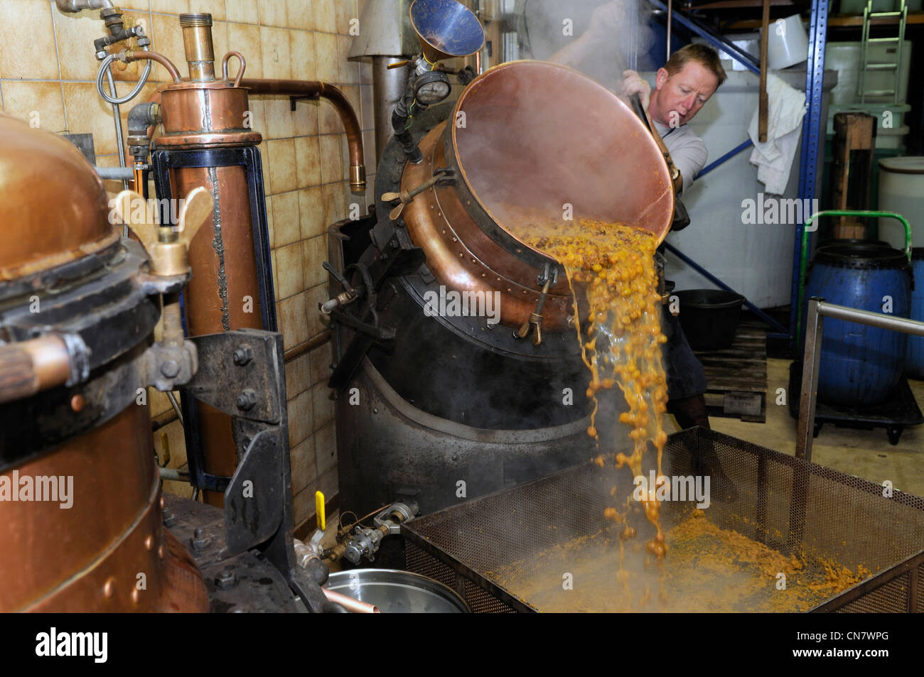 France, Haut Rhin, Ribeauville, distillery Jean Paul Mette, distillation,  eau de vie of mirabelle, drain the still, fall Stock Photo - Alamy