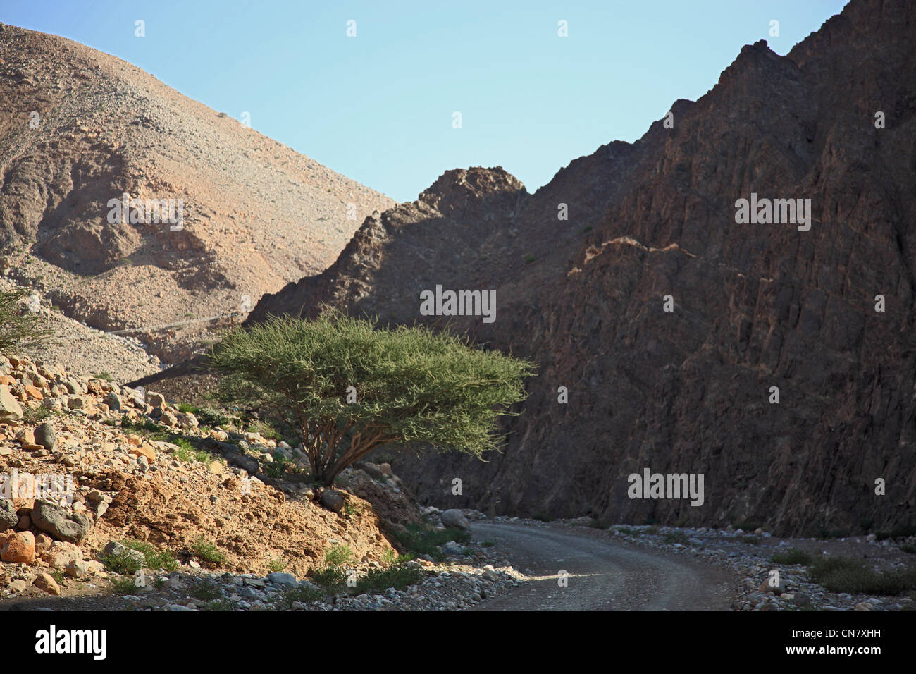 Wadi am AlJabal al Akhdar, Region Batinah, Oman Stock Photo Alamy