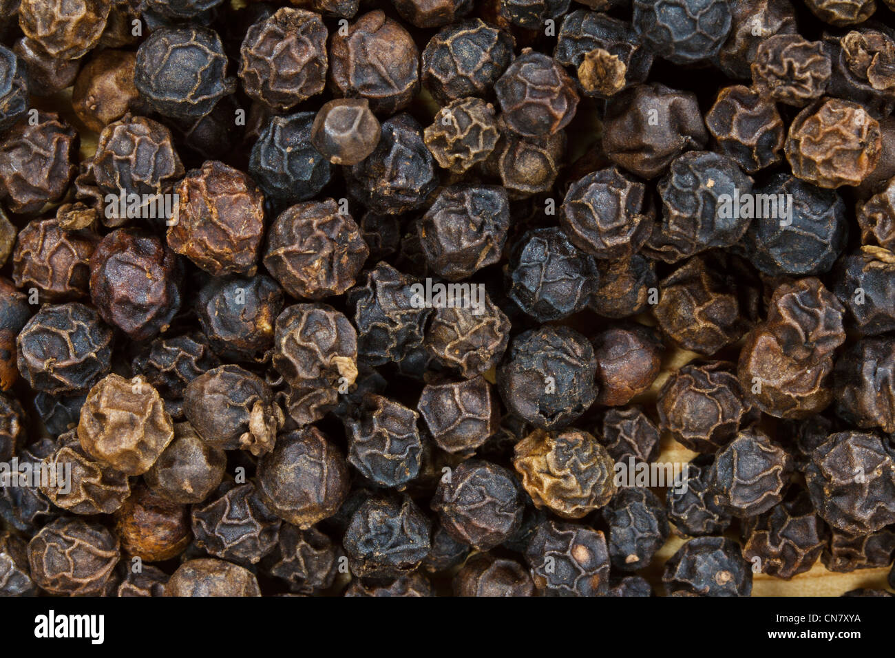close up of black peppercorns Stock Photo Alamy
