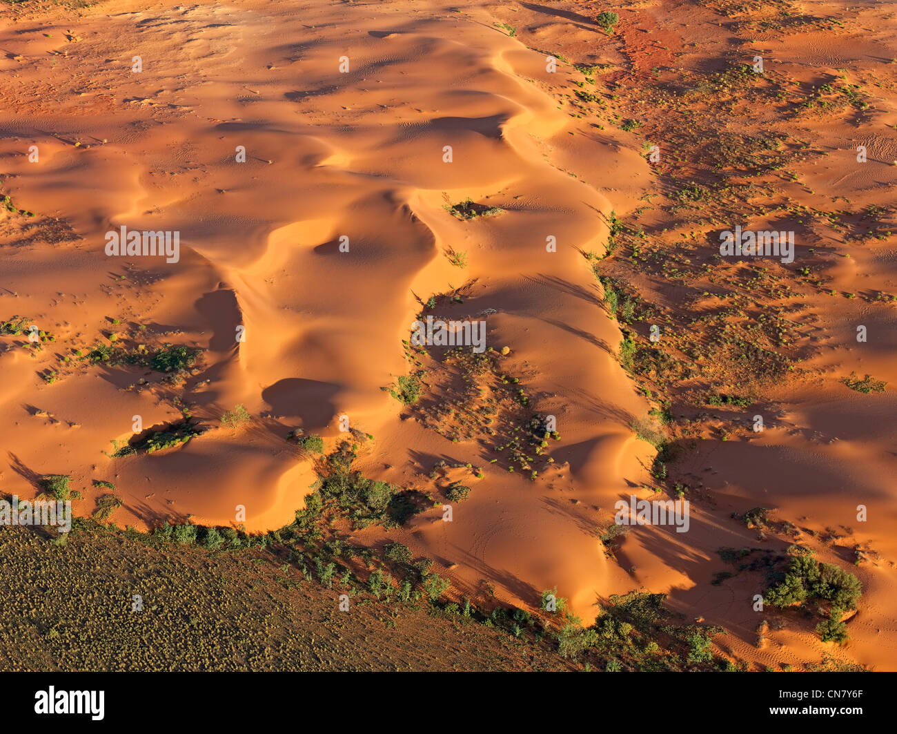Low altitude aerial photo of red sand dunes, outback NSW, Australia Stock Photo