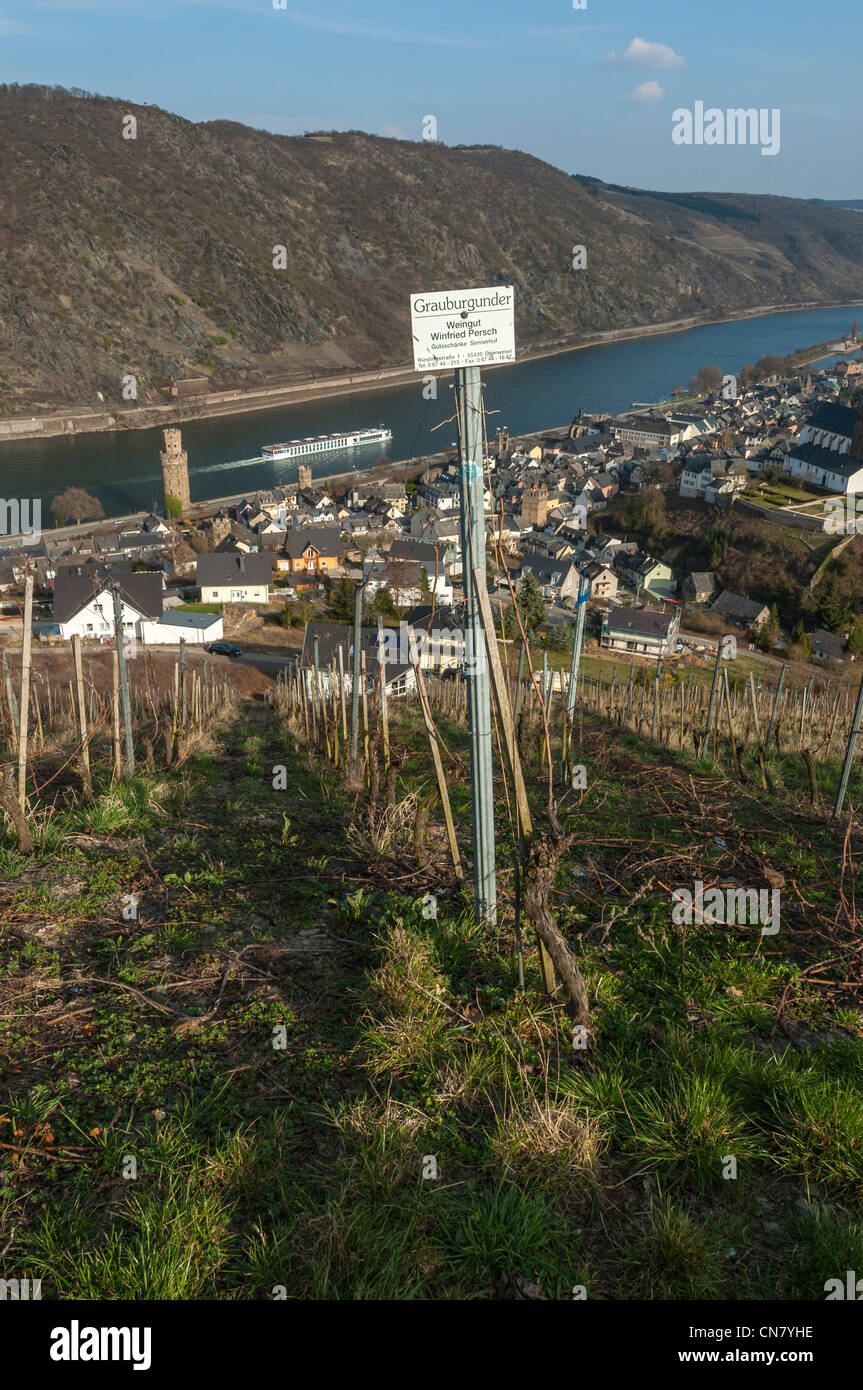 View of UNESCO listed 'Upper Middle Rhine Valley' from above Oberwesel, Rhineland Palatinate, Germany. Stock Photo