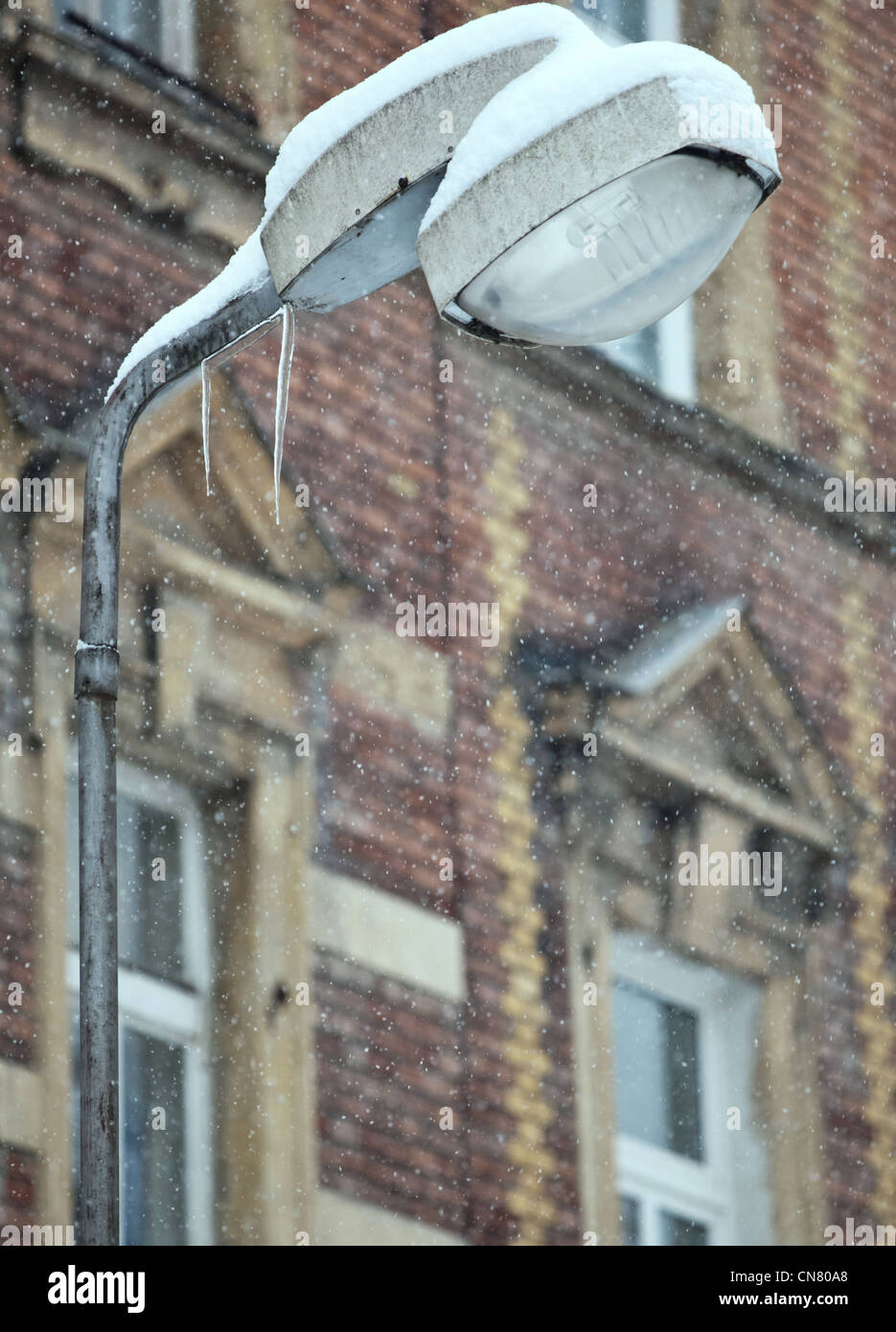 frosty winter day in a city - street lamp covered with snow and ice ...