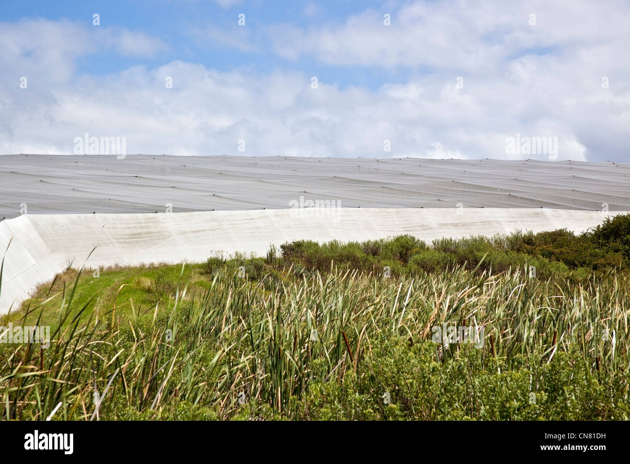 Agricultural protective sheeting on large scale, Eastern Cape, South Africa Stock Photo