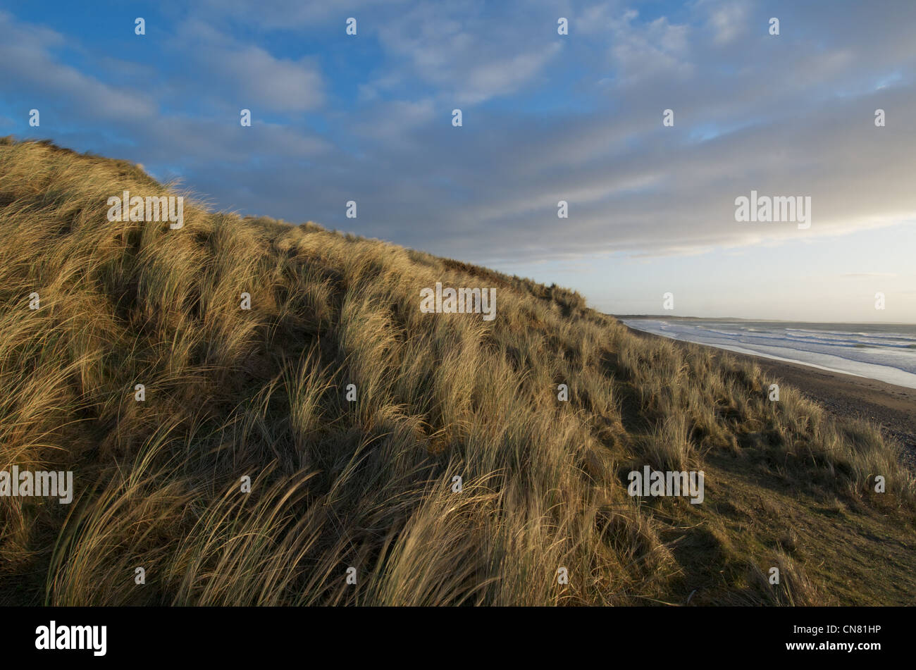 Murlough Nature Reserve Stock Photo - Alamy