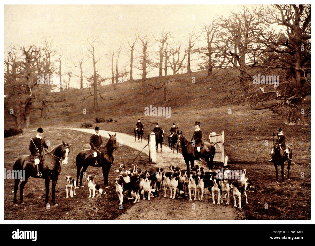 fox hunters with horse and hounds 1904 Stock Photo