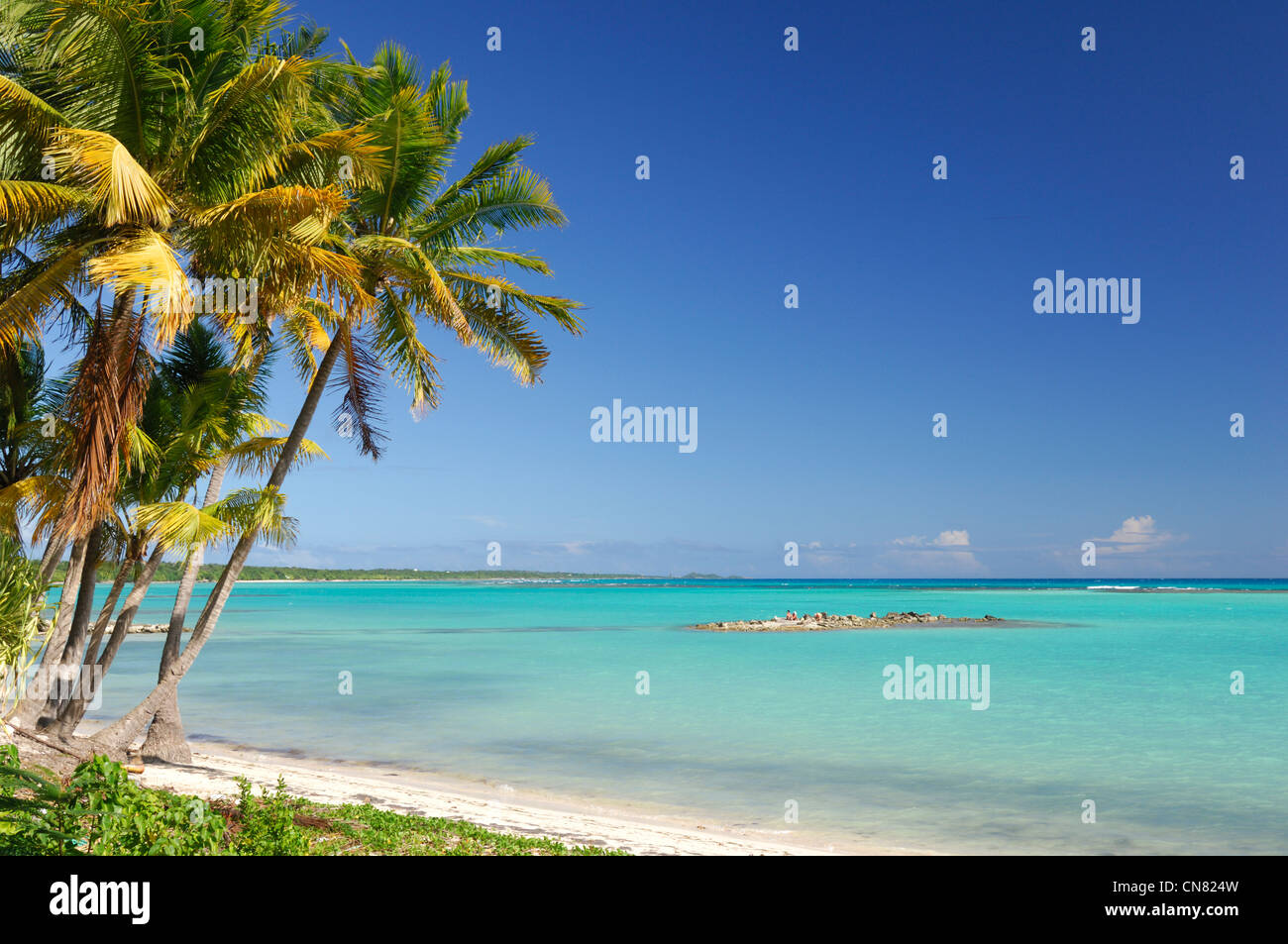 France, Guadeloupe (French West Indies), Grande Terre, Saint Francois,  Plage du lagon (Lagoon beach Stock Photo - Alamy