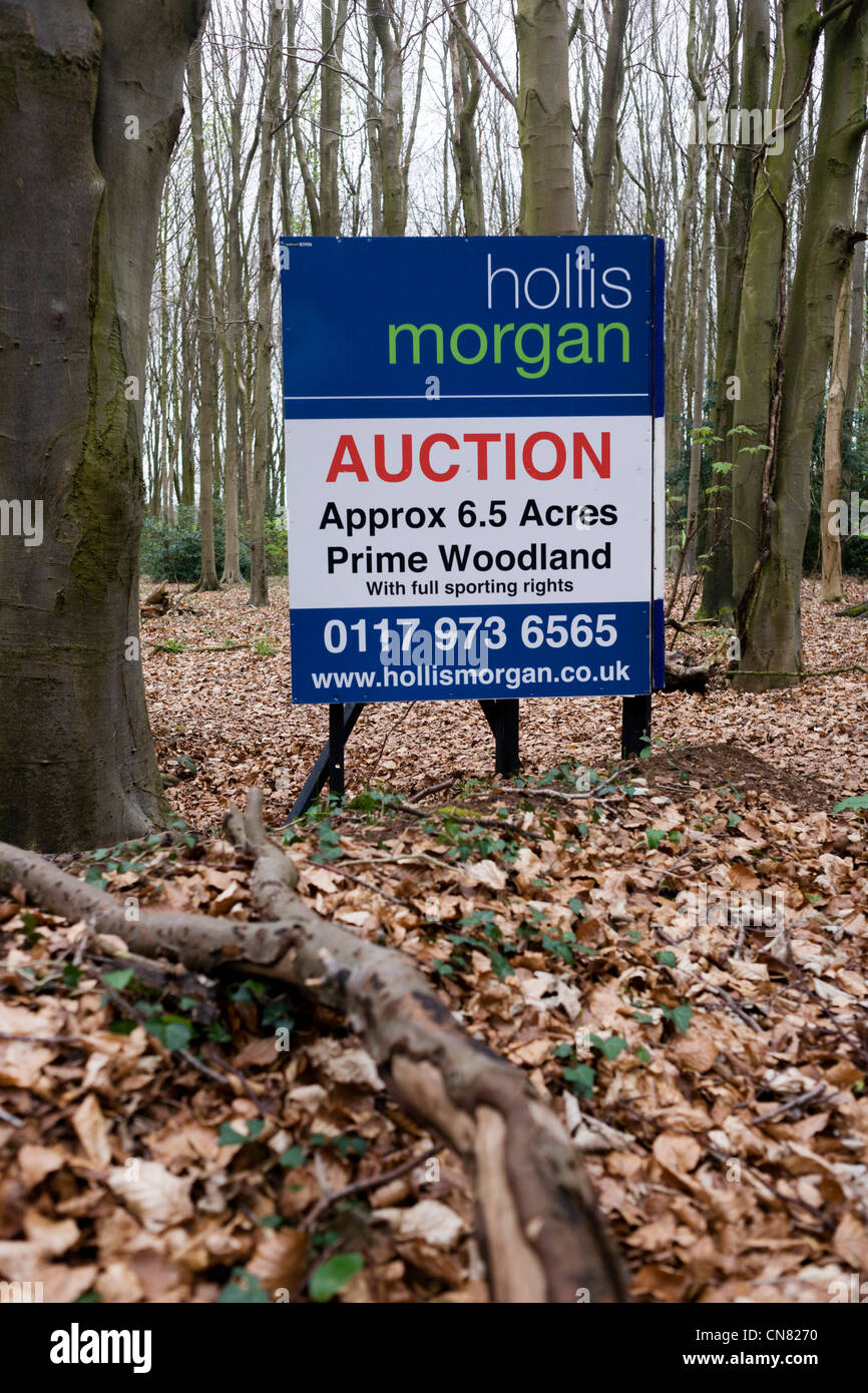 Auctioneer's sign announcing an woodland sale by auction for