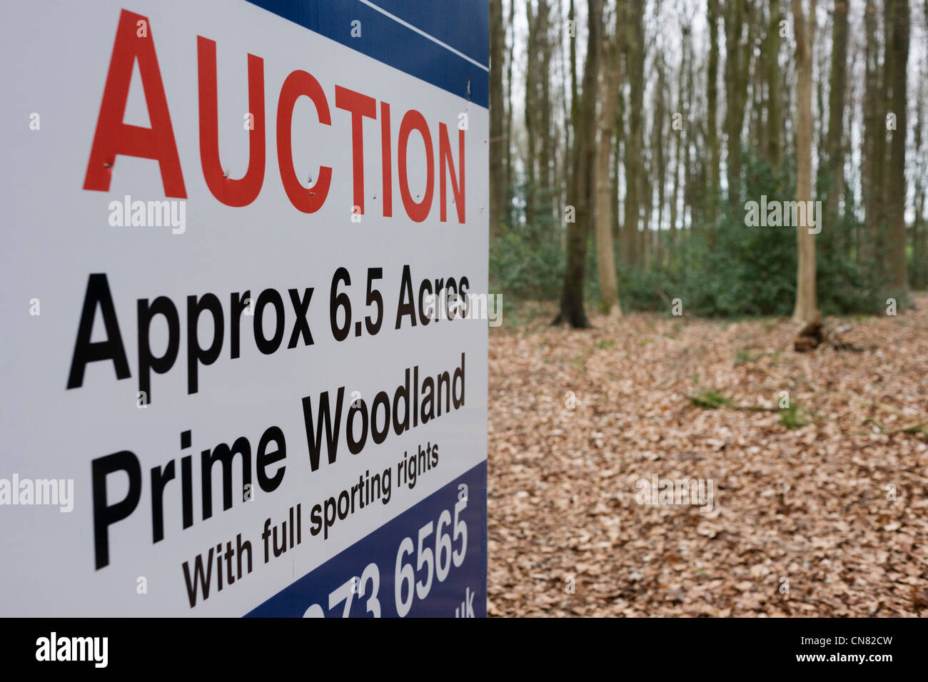 Auctioneer's sign announcing an woodland sale by auction for
