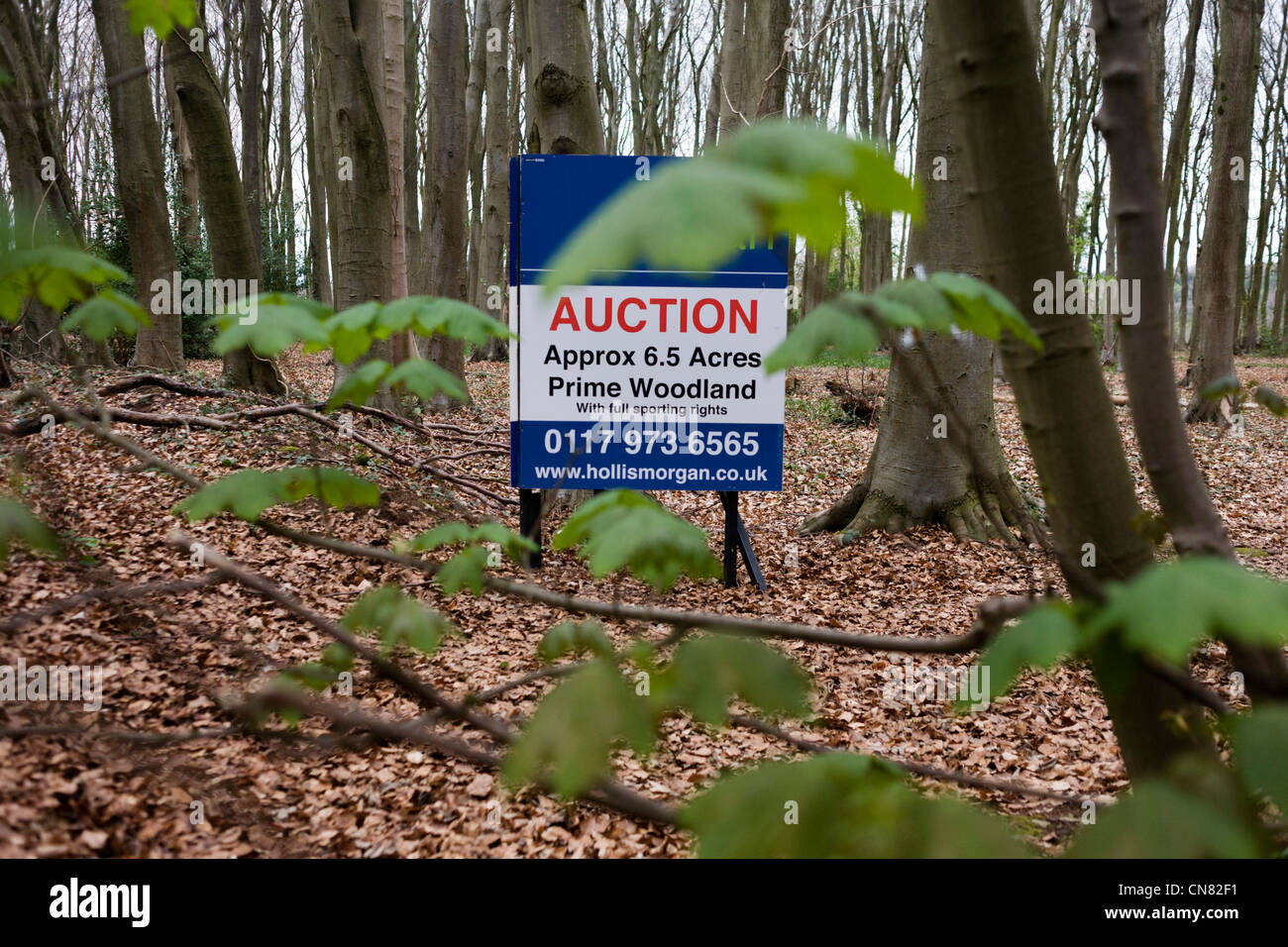 Auctioneer's sign announcing an woodland sale by auction for