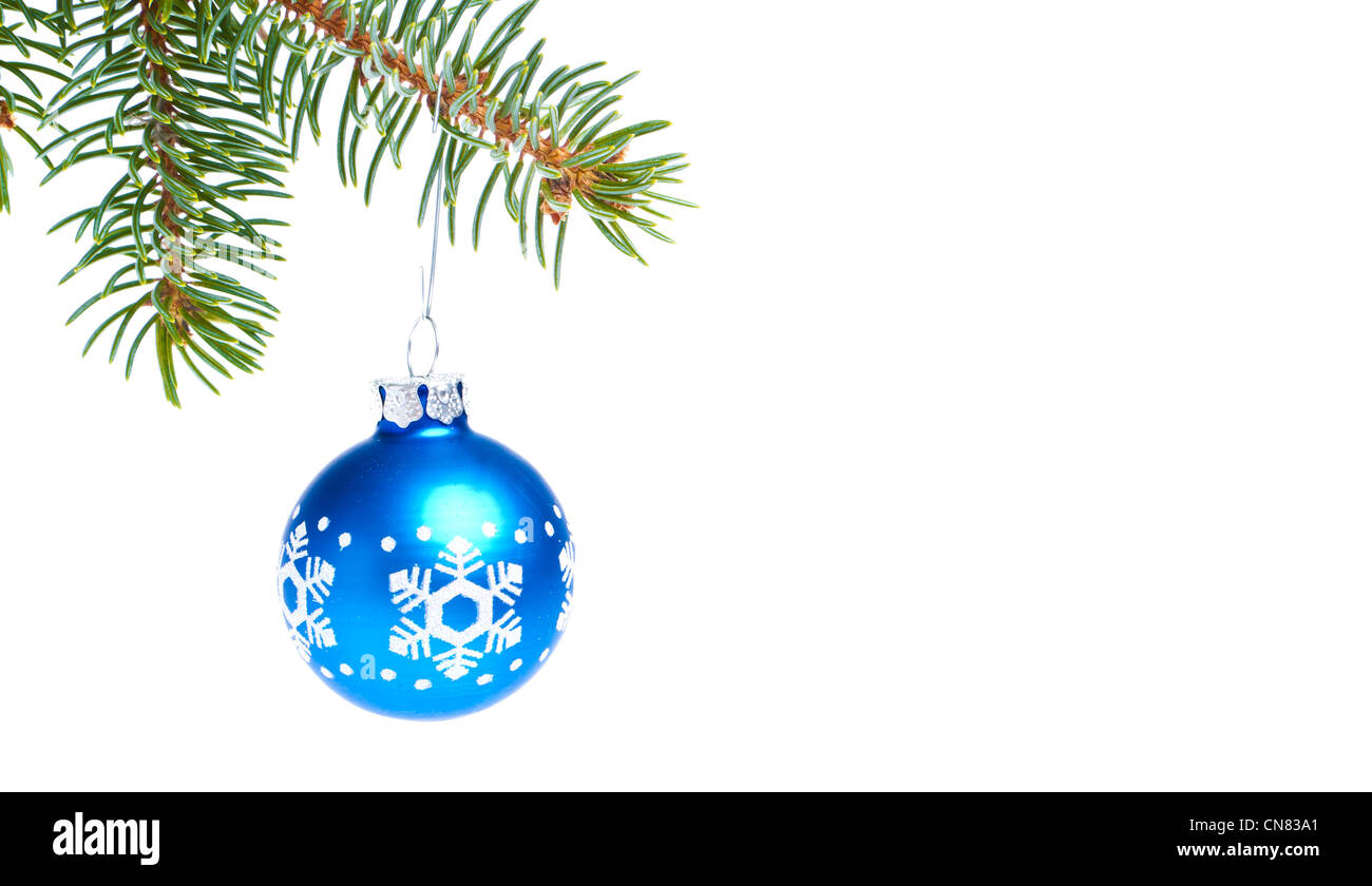 blue christmas tree ball hanging from spruce isolated on white ...