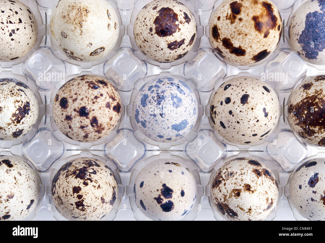 Background with quail eggs Stock Photo